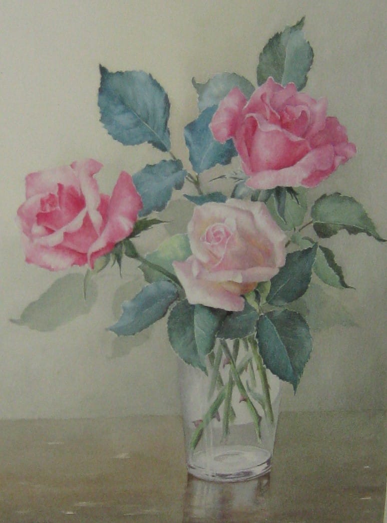 Madge Scattergood roses
