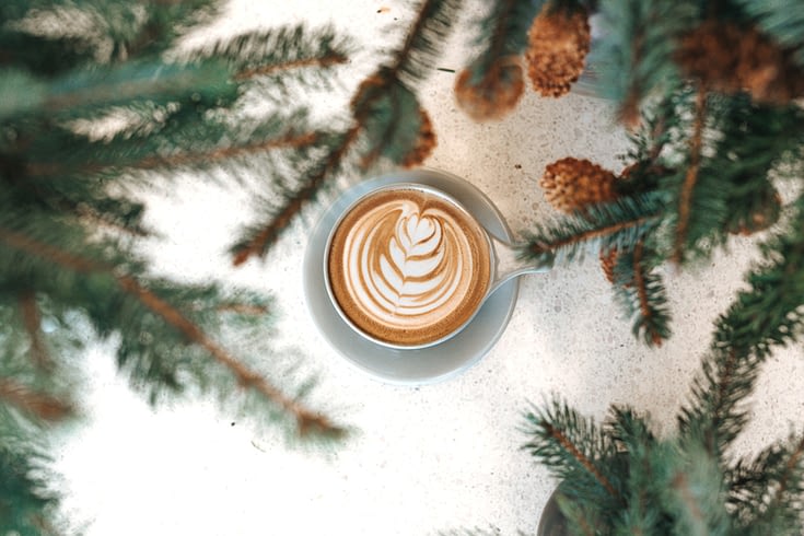 Cup of coffee with pine branches