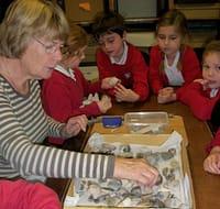 Museum teacher Carol and pupils from St Agnes School look at flints