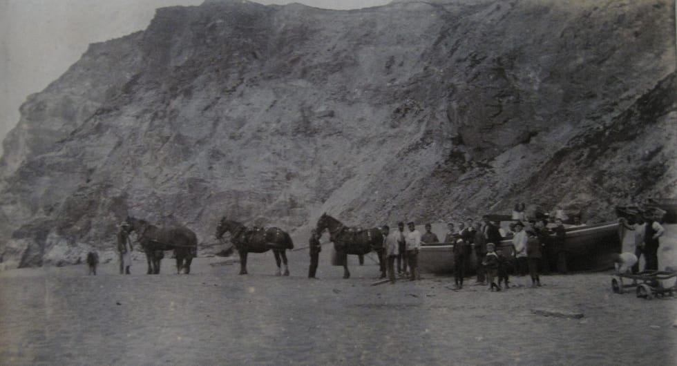 Photograph of a team of horses hauling a boat